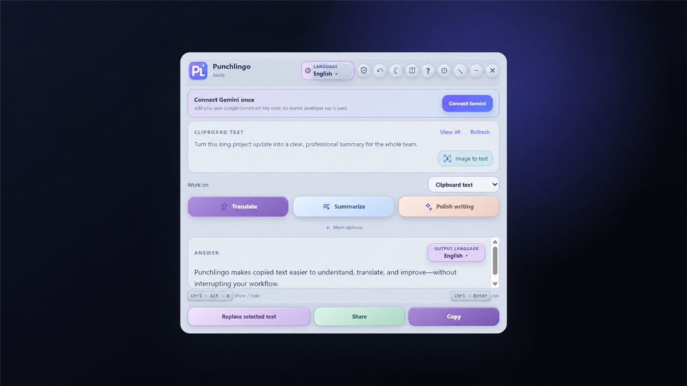Real PunchLingo interface in light mode